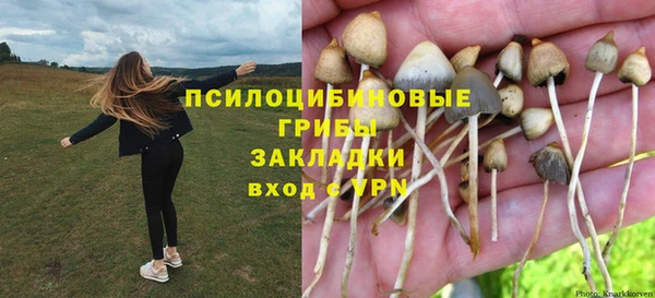 альфа пвп Арсеньев